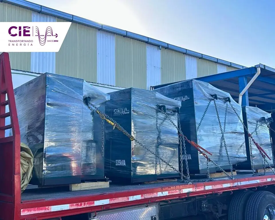 Descripcion de la imagen